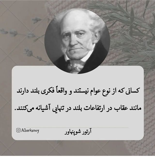 mohamad.hj.2026 в LOOKY. #پرواز,#آسمان,#ابر,#زندگی_پس_از_زندگی,#عقاب,#دلنوشته,#دلتنگی,#پر_پرواز,#سخنان_ناب. تنهایی میان این همه ...