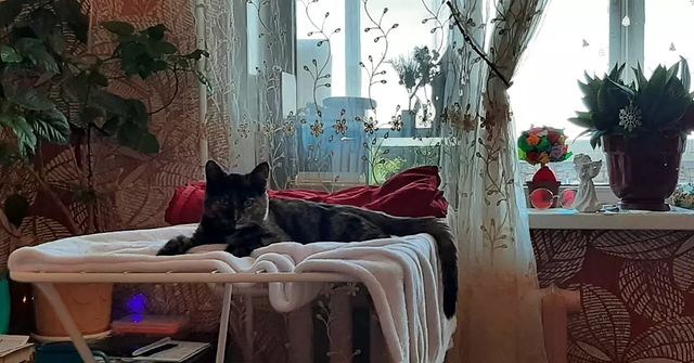 katunya_m в LOOKY. . Мария Александрович�...