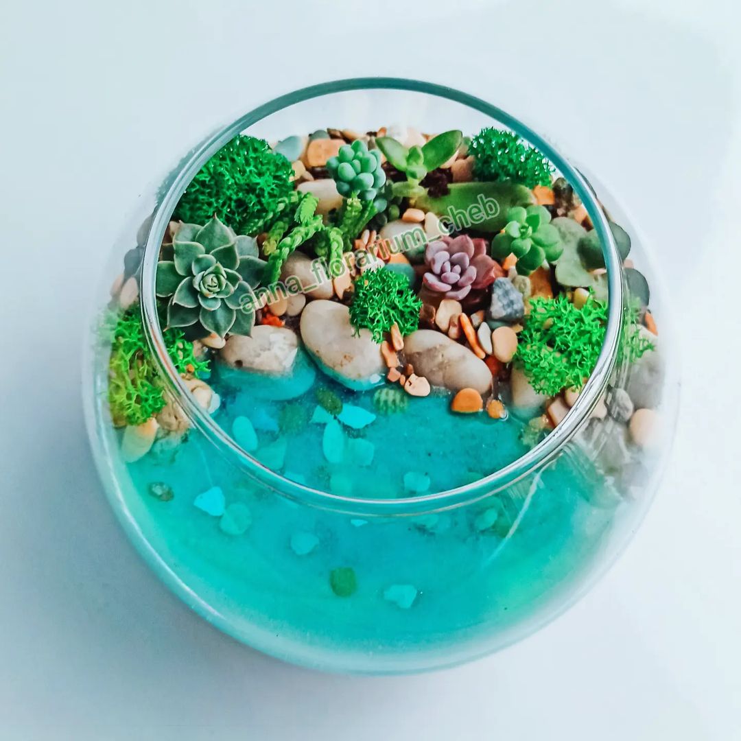 anna_florarium_cheb в LOOKY — Суккуленты во флорариуме нужно сажать густо или редко? При д