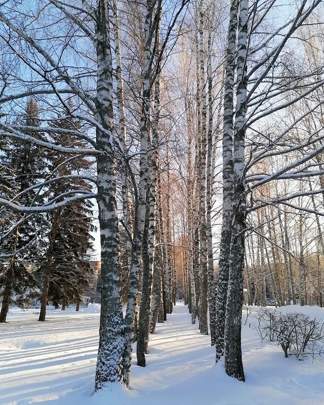 hippomarus в LOOKY. #отпускнаморе. #отпускнаморе