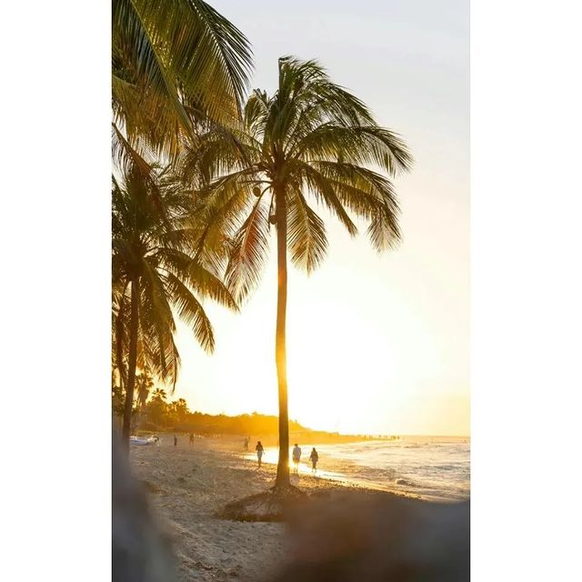 andy.vdovichenko в LOOKY. #bãibiển,#hot,#mặttrời,#việtnam. Tôi muốn thư giãn tr...