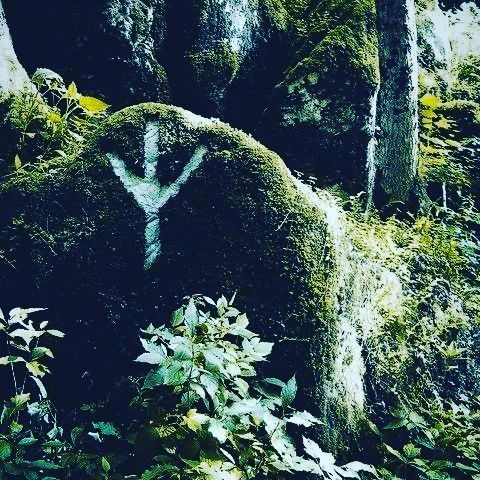 i.b.x.c.h в LOOKY. . null