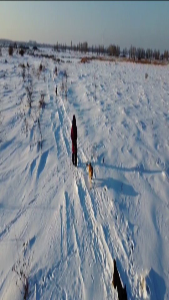 lv_o_v в LOOKY. . Если вы можете:
- на...