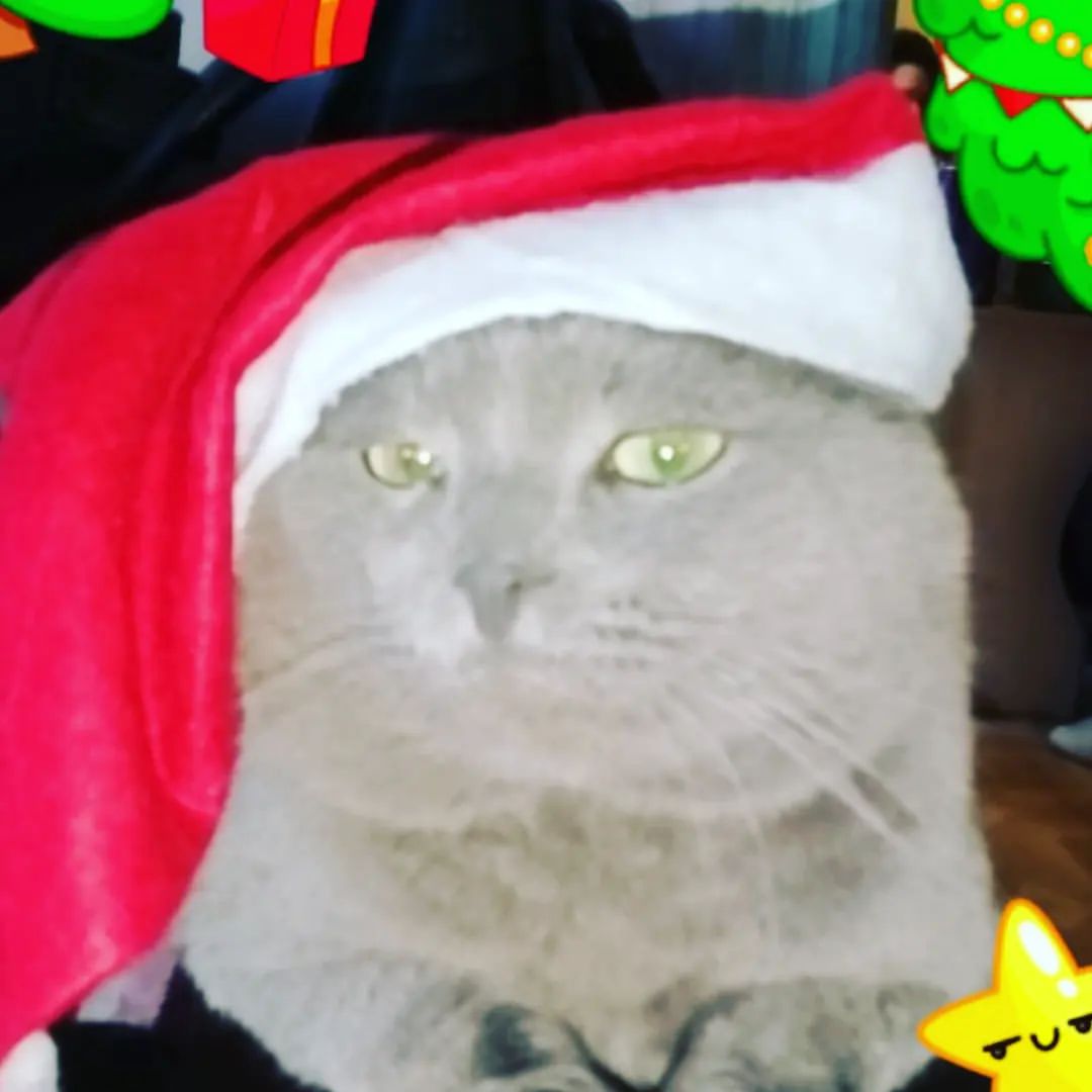 daniellamalinovskaa