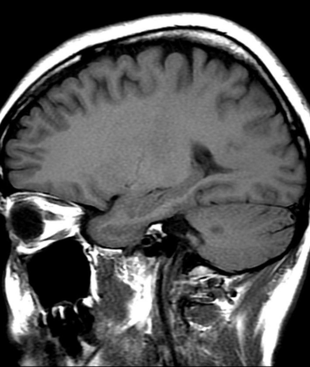 russianradiology в LOOKY — фото 4