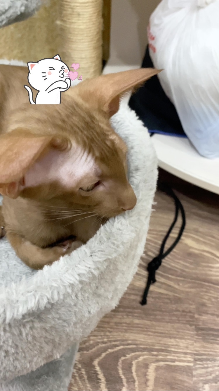 natasochi2001 в LOOKY. . null