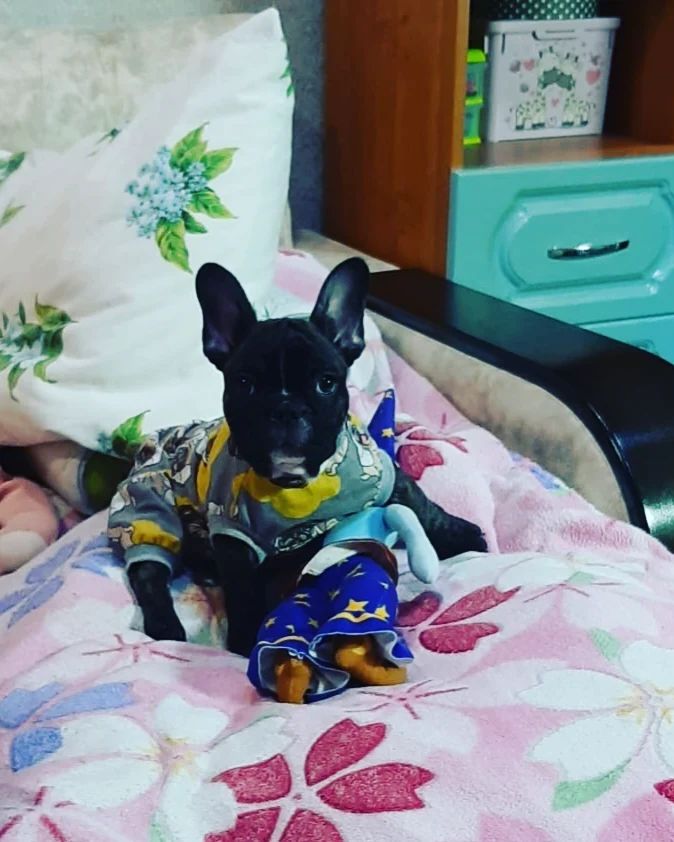 #Гринч🐾