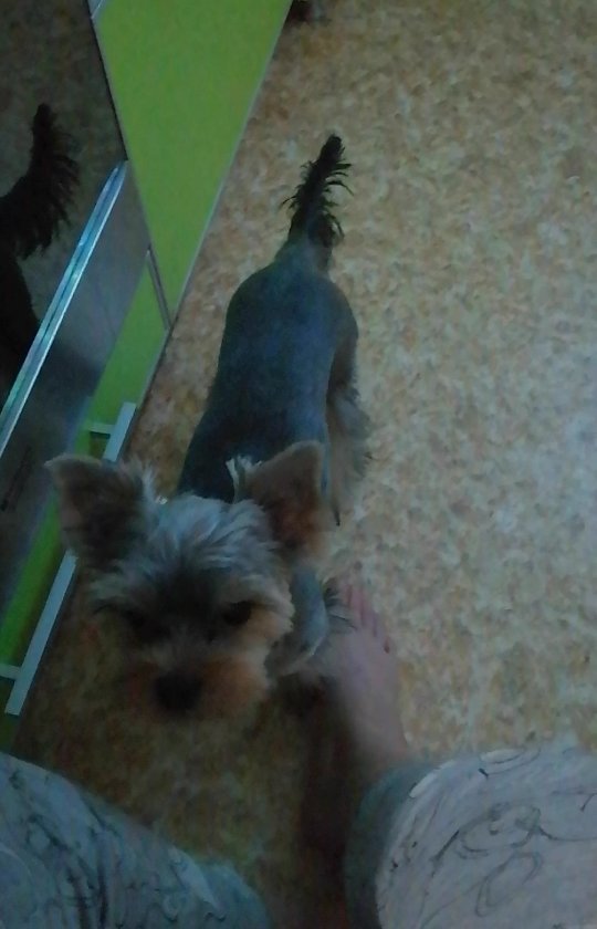 ulya1987koms в LOOKY. . 