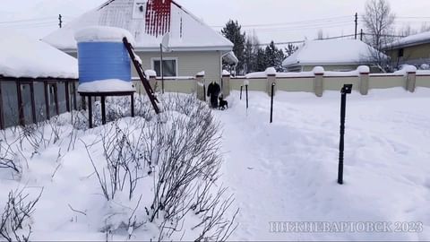 dressirovka_nv in LOOKY. . Тренинг с @dressirov...