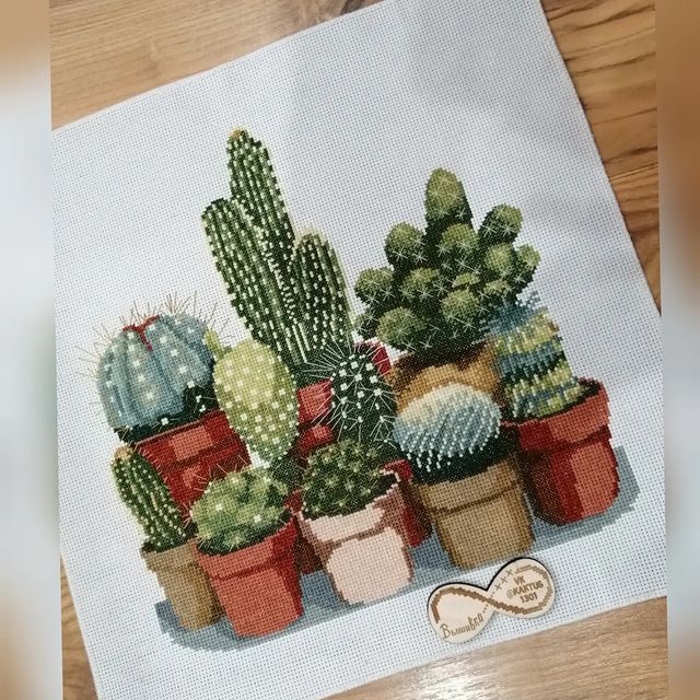 vk_kaktus1301 в LOOKY. #вышивкакрестом,#вышивкакитай,#krestik_i_kanva,#наигле. мои любимые 🌵💝
📐3...