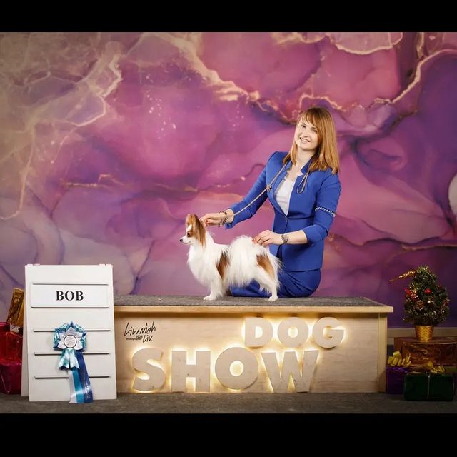 love_my_papillon в LOOKY. . 21.01.2023 Чайна Тау...