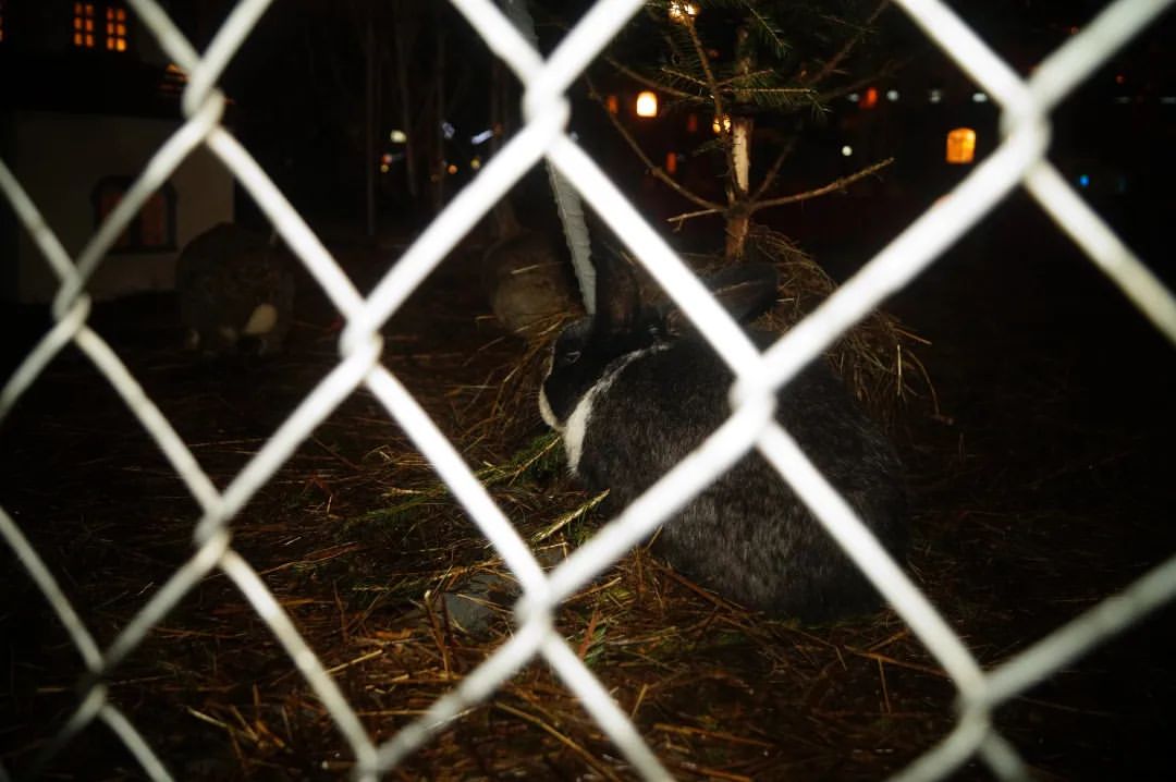 povedionoksasha4 в LOOKY — фото 3