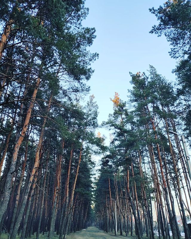 mirai_taro в LOOKY. . Везде есть свой шарм...