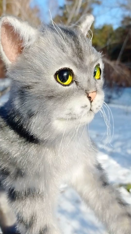 atola.name в LOOKY. #кот,#кошка,#игрушкисвоимируками,#игрушкавподарок,#натюр,#реалистичнаяигрушка,#cat,#mew_gallery,#antitaxidermy. Кошечка в Тайвань. М...