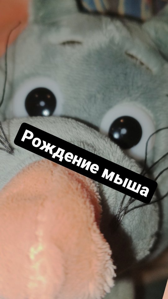 sod14klp.jpg в LOOKY. #рождение,#мышь,#рофл. #рождение #мышь #роф...