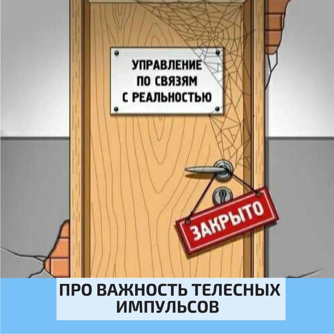 vektor_zhizni в LOOKY — Ни у кого нет универсального рецепта для решения проблем ваш