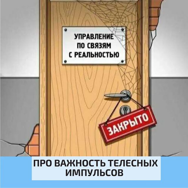 vektor_zhizni в LOOKY. . Ни у кого нет универ...