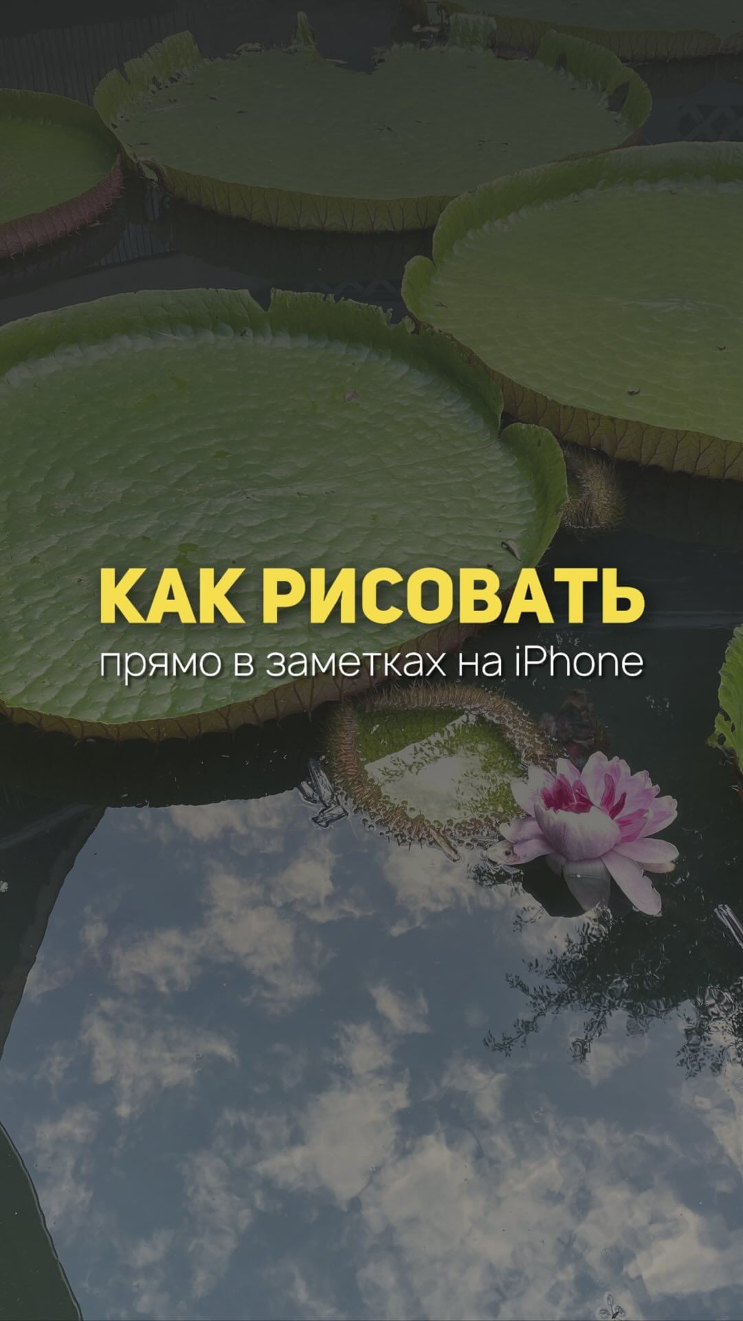 elena_minasyan_vm в LOOKY. . Акварельная подложка...