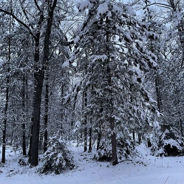 daffy_tjit в LOOKY. #snow,#snowlife,#snowy. 🥰🥰🥰
23.01.2023

�...