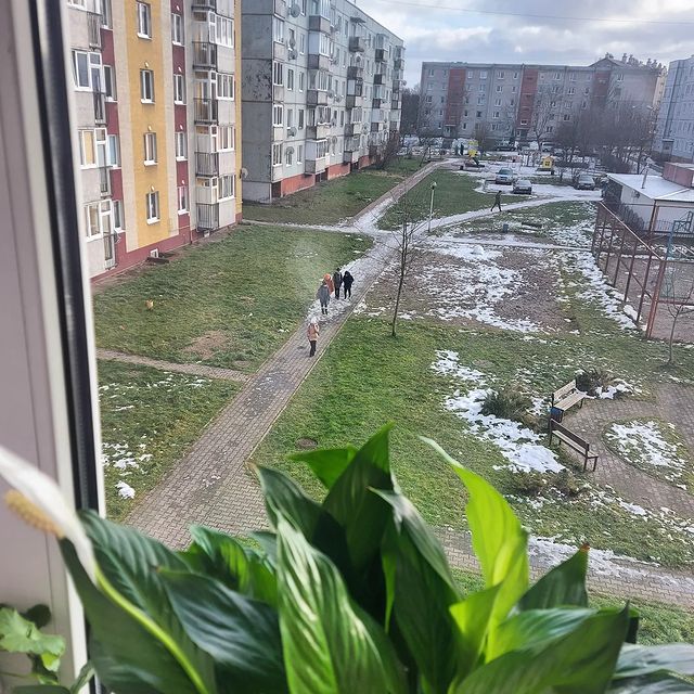 agnikylavok в LOOKY. . В наших краях зима т...