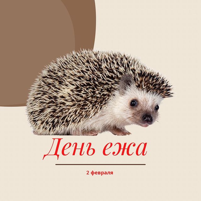 maria_pro_prazdnik в LOOKY. . 2 февраля отмечают н...