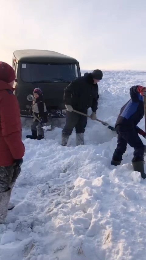 olka_olgacha в LOOKY. . Папа вам не мама !