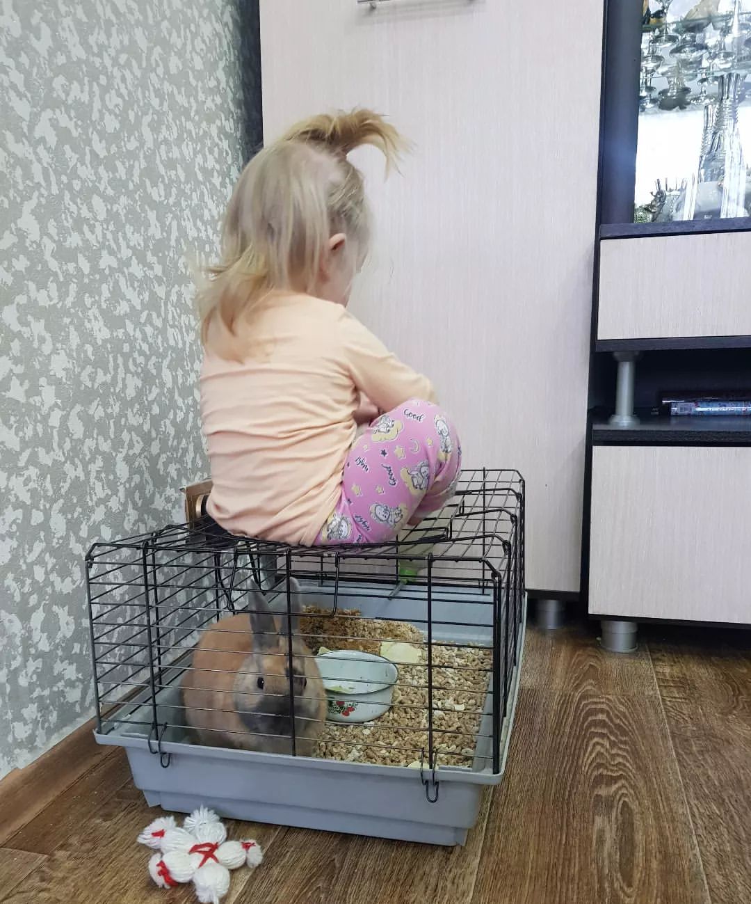 Кролик в ахере всегда когда Ди приходит😂