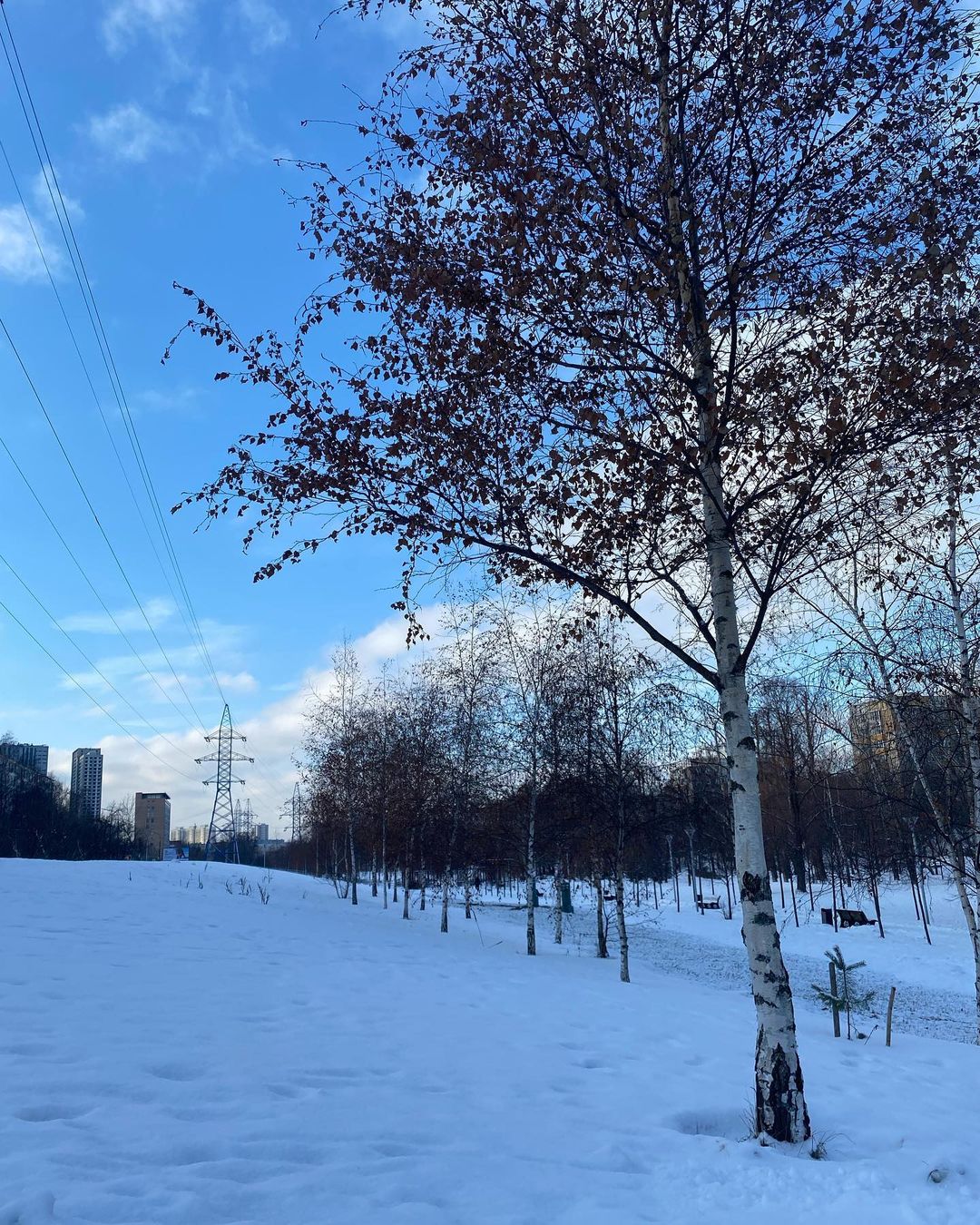 lelya_hiromant в LOOKY — Так чудно, пришли утром покататься на горку 🛷🥌 и ни души -