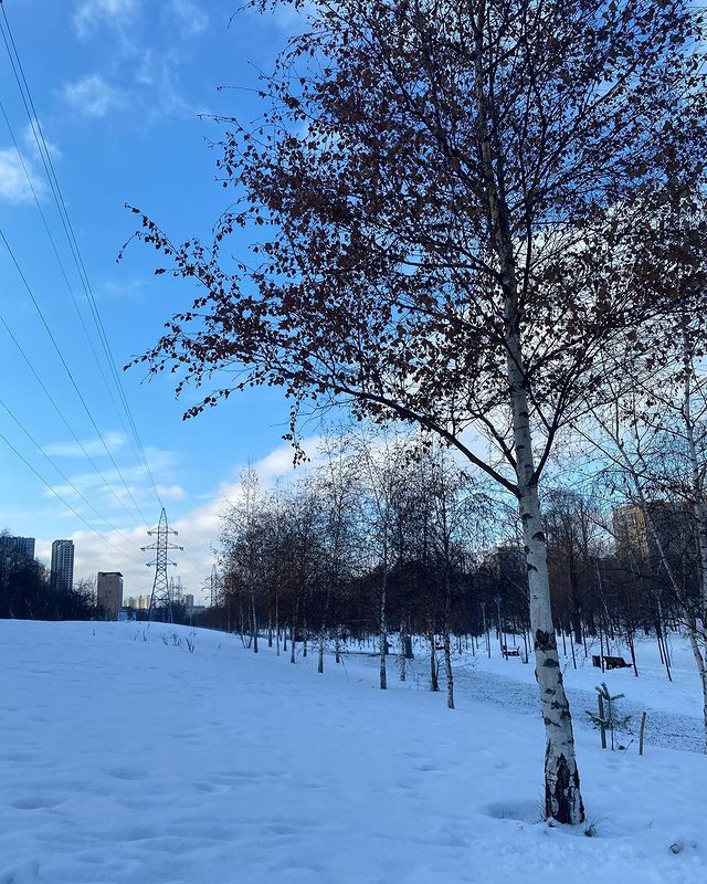 lelya_hiromant в LOOKY. . Так чудно, пришли ут...