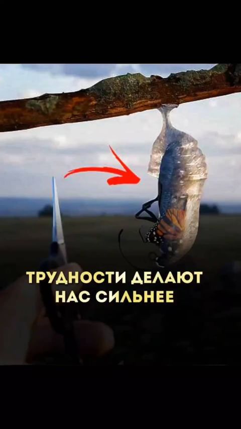 _fatima_musaeva_05 в LOOKY. . ______«Мы не всегда ...