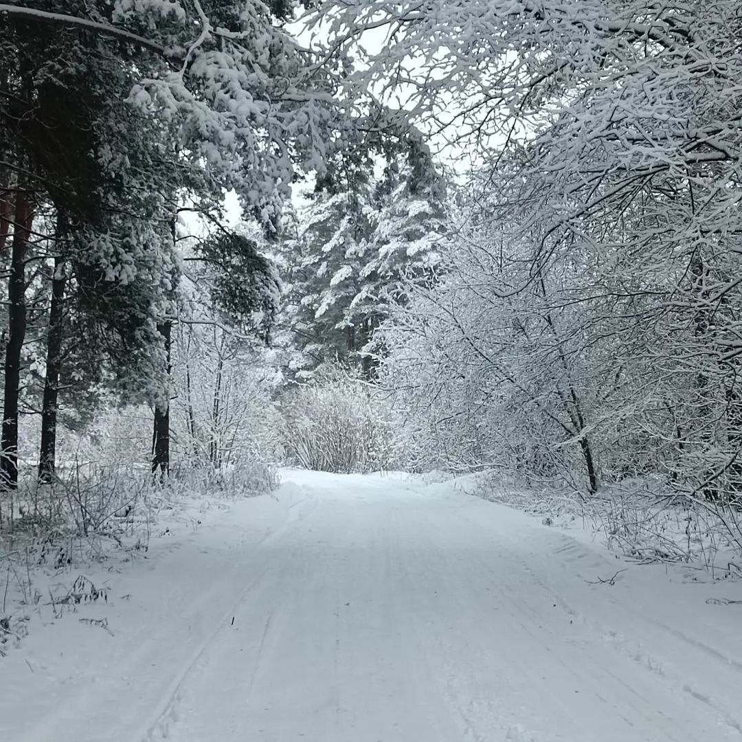 verona451.vk в LOOKY — Какая красивая зима только радует