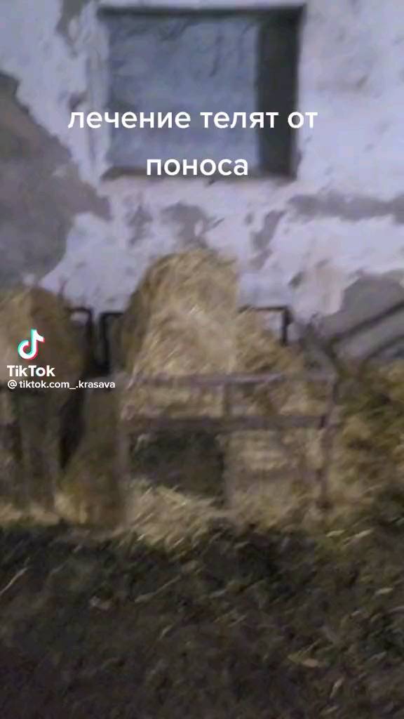natallia_171411 в LOOKY. . Век живи век учись.