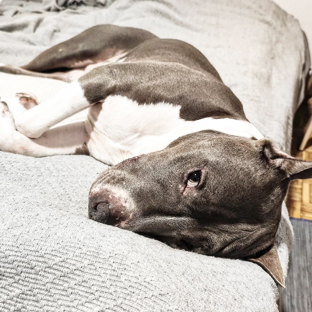 mighty.trio в LOOKY — My sleepy poopie factory 🖤