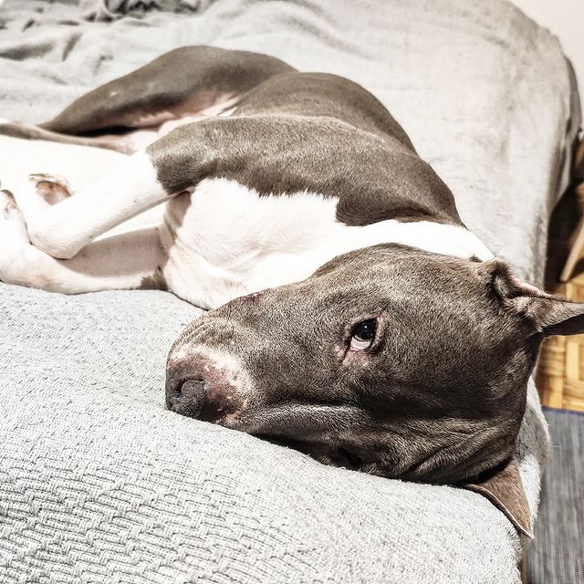 mighty.trio в LOOKY. . My sleepy poopie fac...