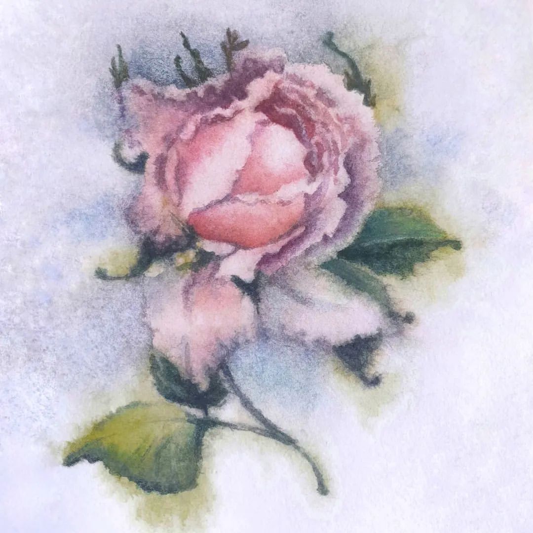 lisa_sestra в LOOKY — Soft-rose dream's

#watercolor #rose #rosé #draw #drawing #t