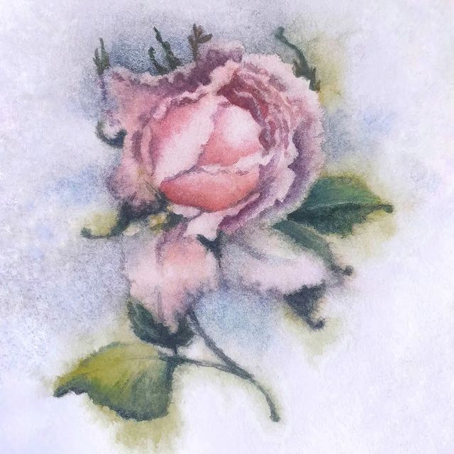 lisa_sestra в LOOKY. #watercolor,#rose,#rosé,#draw,#drawing,#tenderness,#flowers,#flower,#aquarelle,#watercolordrawing,#рисование,#рисуюакварелью,#рисунокакварелью,#акварельныйрисунок,#розы,#нежность. Soft-rose dream's

#...