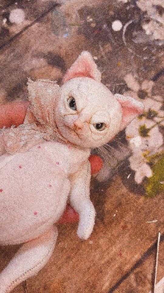 Куклы и Тедди в подарок in LOOKY. #cats,#teddyCat. Добро пожаловать в о...