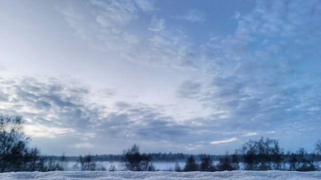 diplomat.ru в LOOKY. . null