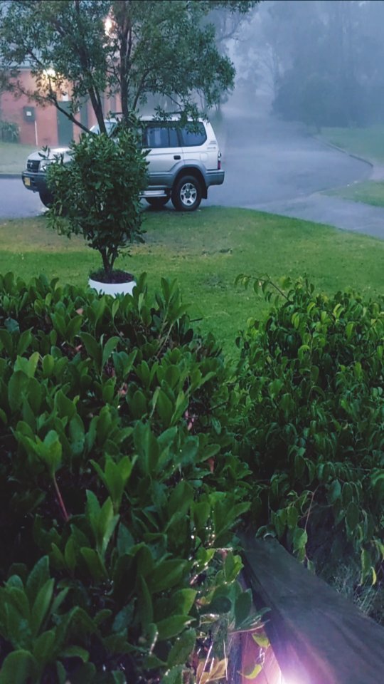 ttania_art в LOOKY. #rain,#summerrain,#storm. Moment of peace 😌

...
