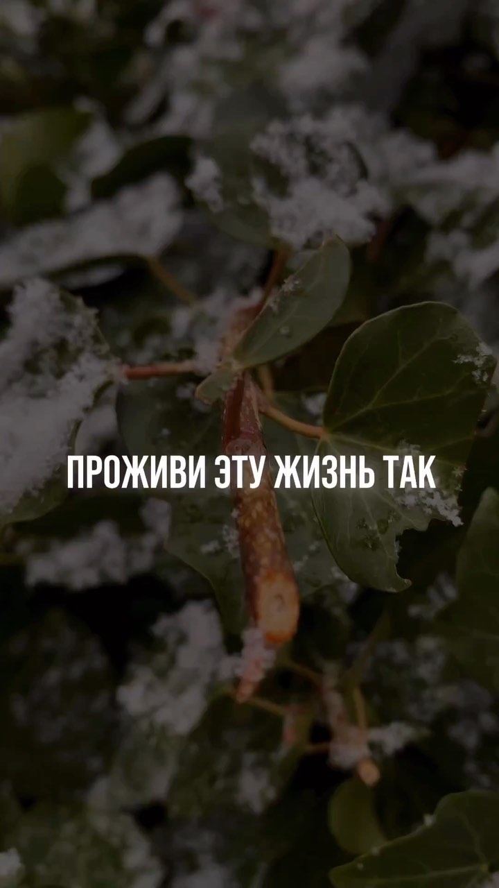 iamdanbog в LOOKY. . Проживи эту жизнь та...