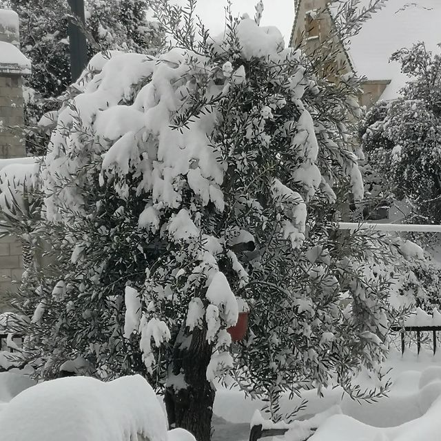 salibag в LOOKY. . 08-02-2023