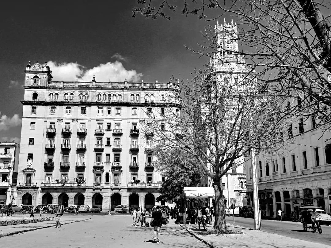 reydleyph in LOOKY. #fotografia,#photography,#photogram,#photooftheday,#havana,#cubaenfotos,#habana,#blancoynegro,#newpost,#bnw_captures,#bnw_greatshots,#revistanegromundo,#bnwphotography,#bnwphoto,#cubanlife,#cuba,#paisaje,#instaphoto,#streetphotography,#35awards. Esas vistas.....🎨
#...