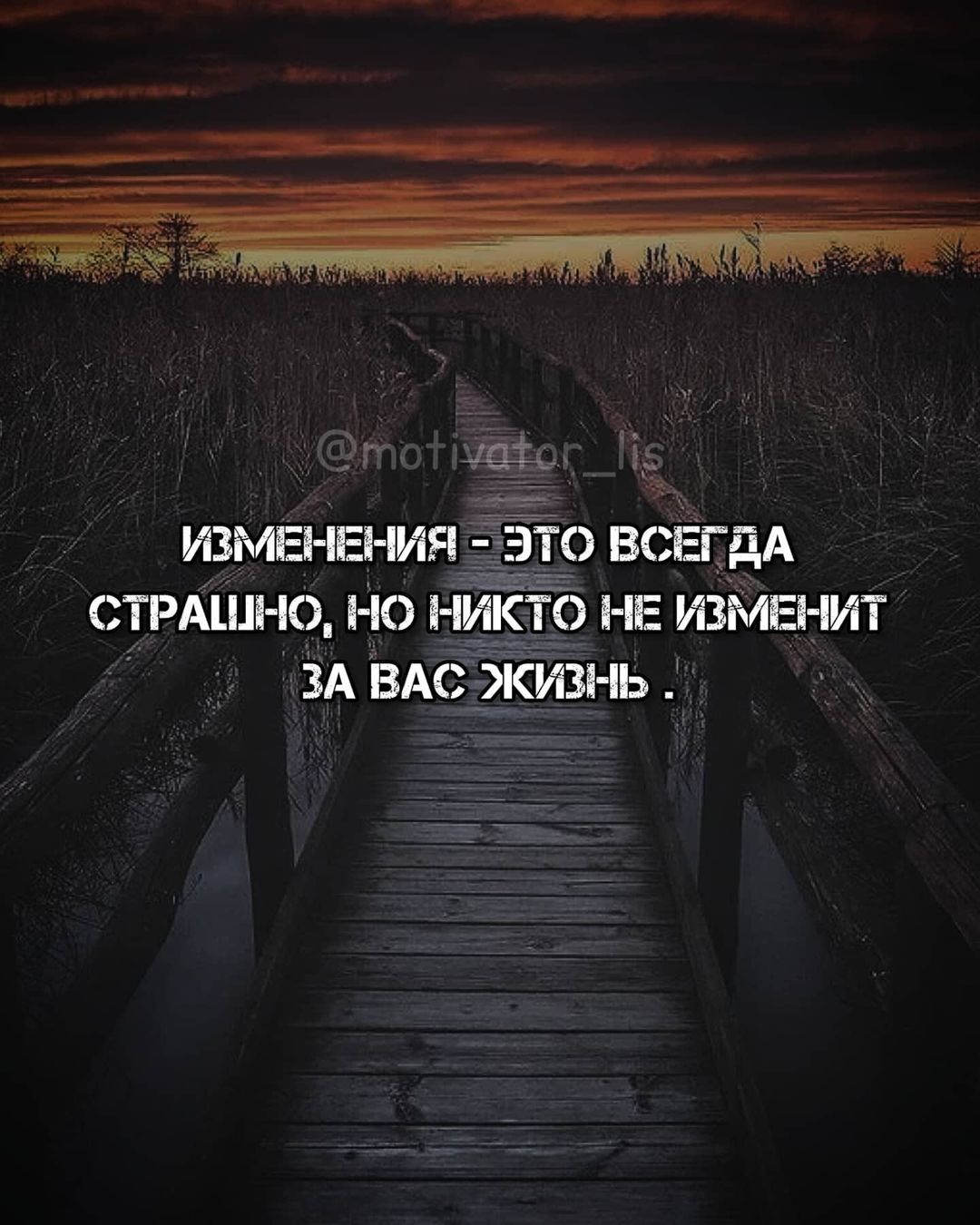 motivator_lis в LOOKY — Развивайся вместе с нами 🔥

Стань лучше, чем был вчера 🦊

