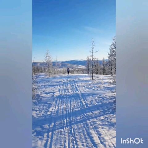 t_a_lot в LOOKY. . null