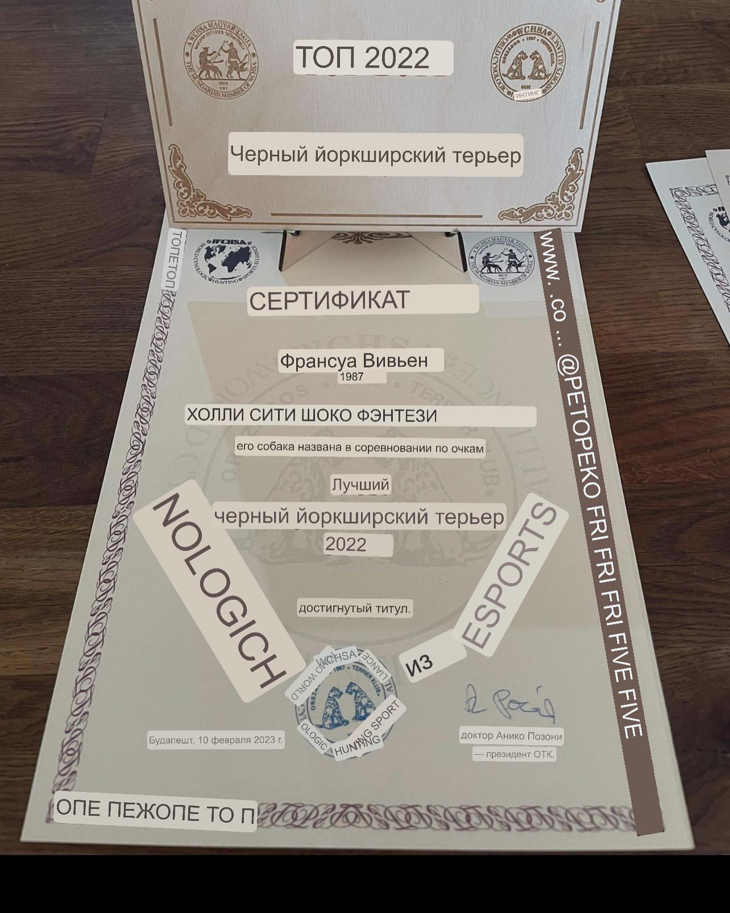 kennel_city_choco_fantasy в LOOKY — фото 2