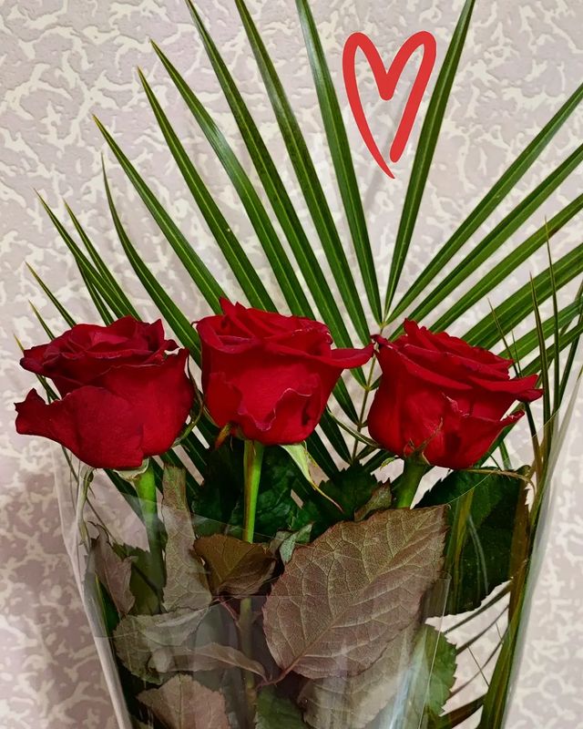 orlowaalevtina в LOOKY. #ВместеНавсегда,#Семья,#ЛюбитьВсюЖизнь,#Орловы,#БытьЛюбимой,#МамаДочки,#БытьМамой,#Любовь,#Варвара,#Love,#Family,#ОдноСердцеНаДвоих,#BeHappy,#Счастье,#СчастьеБытьМамой,#Saratov,#64,#Саратов,#Энгельс,#яМама,#яМамаДочки,#Дочь,#МояЖизньВней,#МоёСердце,#ОнаМояЖизнь,#Любовь,#Жена,#Мама. Вроде бы что такого ...
