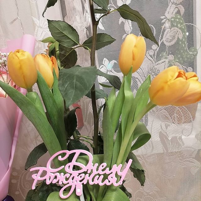 m.lipatova94 в LOOKY. . null