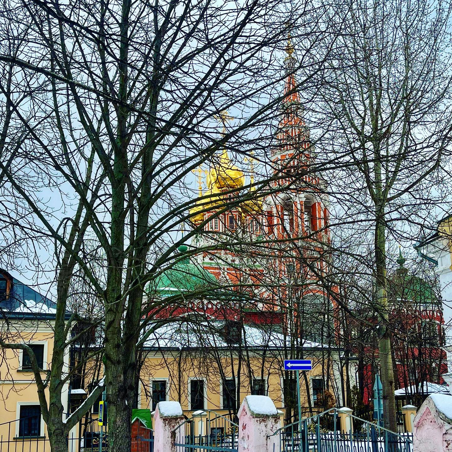 darianikolaeva115 в LOOKY — фото 3