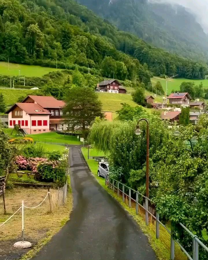 20_firdavs_20 в LOOKY. . null