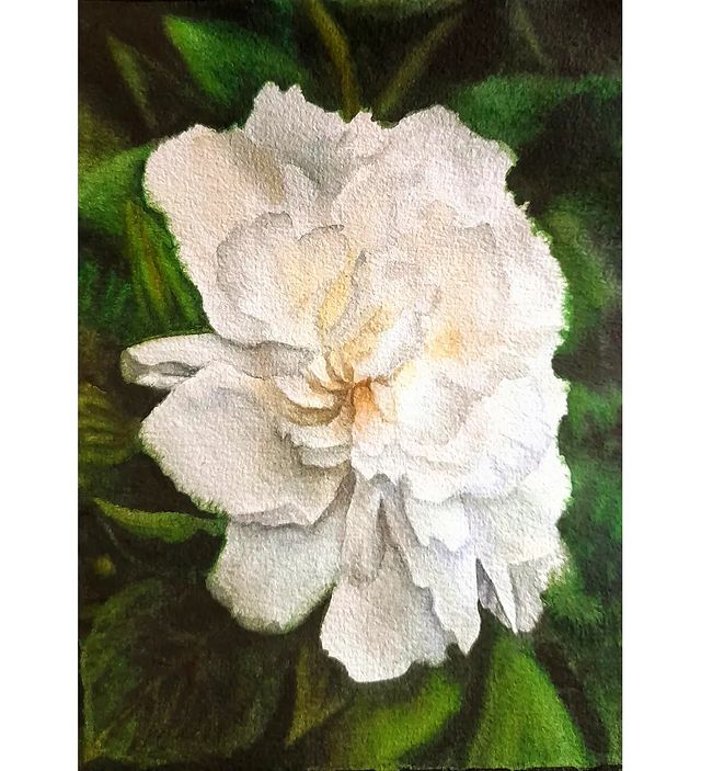 lisa_sestra в LOOKY. #акварель,#рисунок,#рисунокакварелью,#пионы,#пион,#рисуюдлядуши,#цветы,#цветок,#рисование,#хобби,#ярисую,#drawing,#watercolor,#flowers,#flower,#peony,#whiteflowers,#whitepeony,#watercolorart,#watercolorillustration. #акварель #рисунок #...